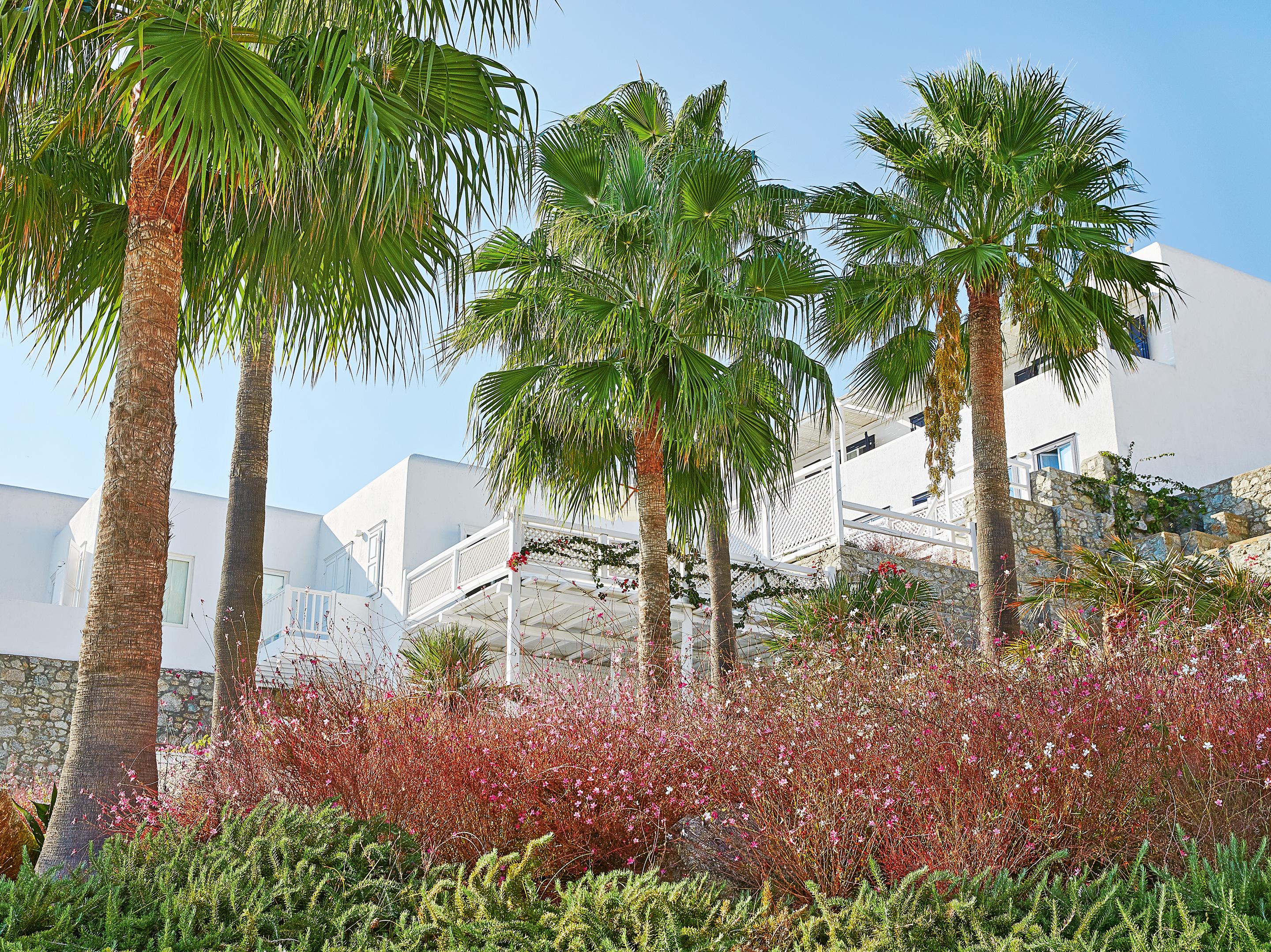 Mykonos Blu, A Grecotel To Live Resort